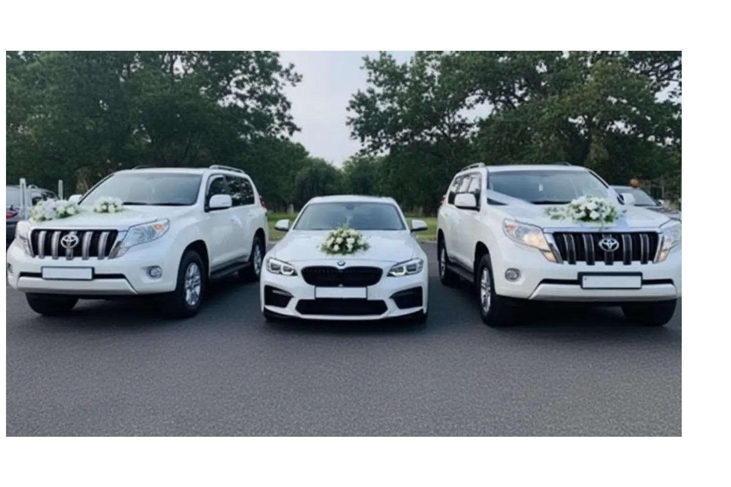 rent a car for wedding function